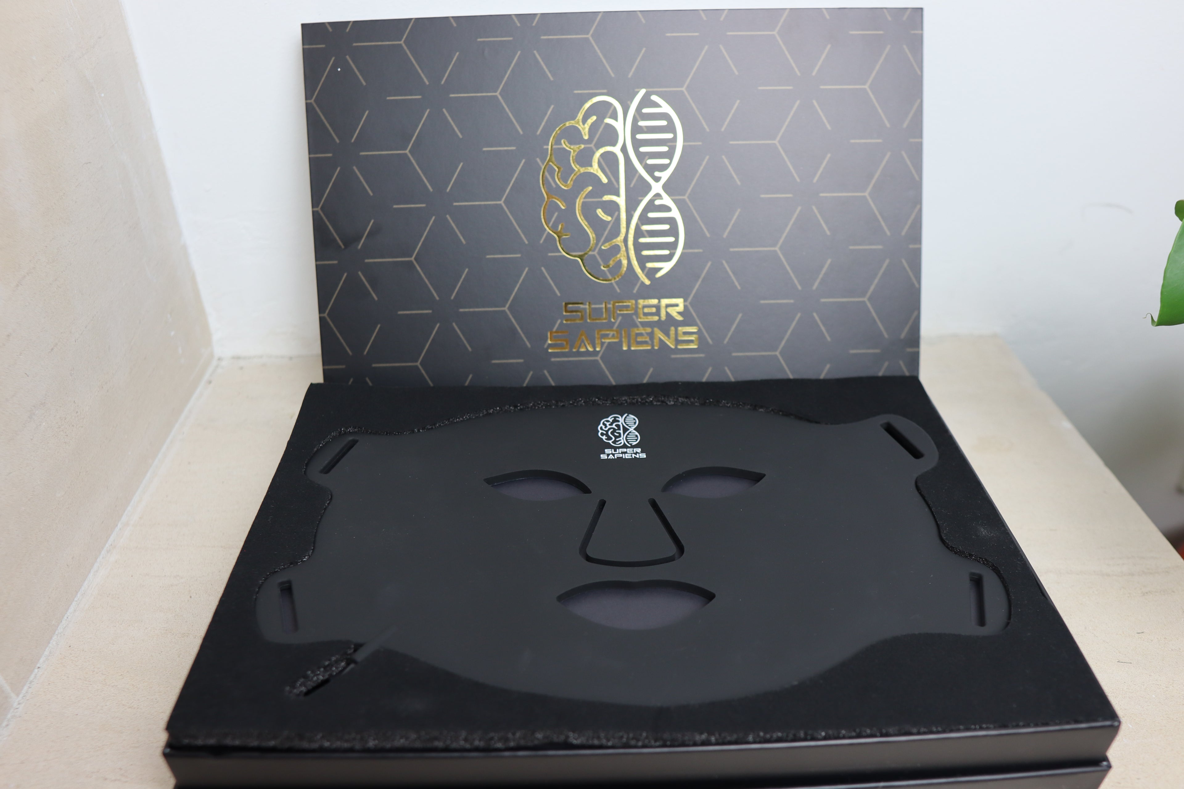 LED Therapy Face Mask