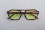 Fulgoris Tigre